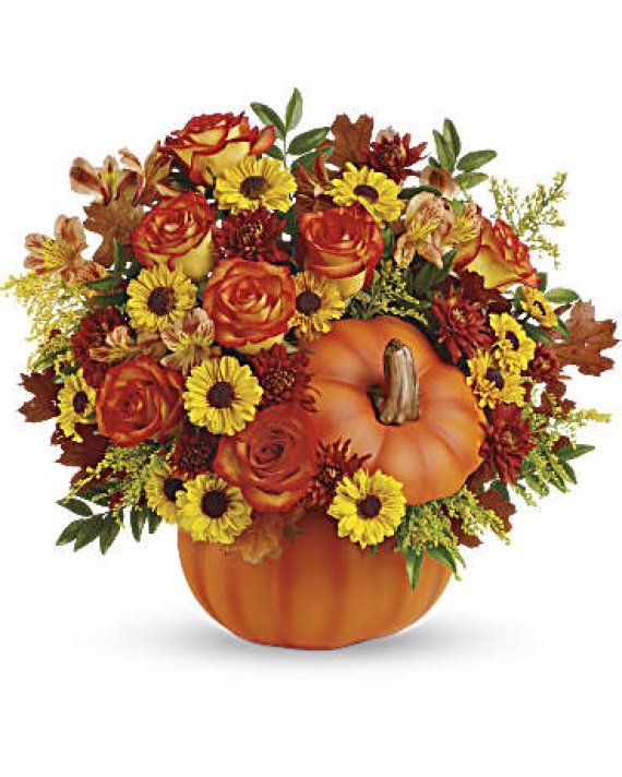 Fall Pumpkin Pleasure